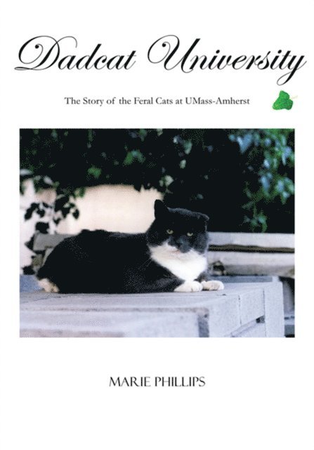 Marie Phillips - Dadcat University, E-bok