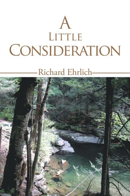 Richard Ehrlich - Little Consideration, E-bok