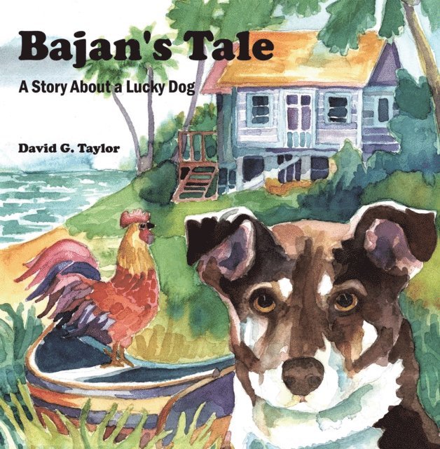 David G. Taylor - Bajan's Tale, E-bok