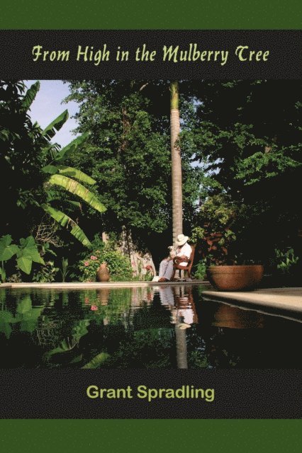 Grant Spradling - From High in the Mulberry Tree, E-bok