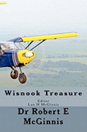 Shannon O. McGinnis, Brandon D. Jones - Wisnook Treasure: Wisnook Series, Häftad