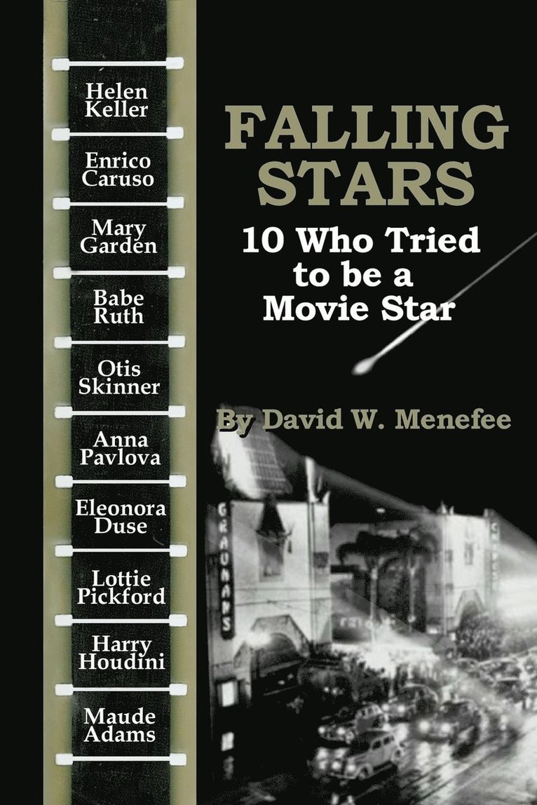 David W Menefee - Falling Stars, Häftad. Tillgänglighet: Lägg i varukorg