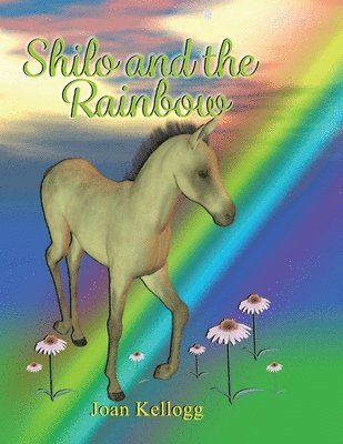 Joan Kellogg - Shilo and the Rainbow, Häftad. Tillgänglighet: Lägg i varukorg