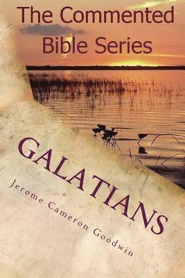Jerome Cameron Goodwin - Galatians: Paul, Apostle To The Nations I Made You, Häftad. Tillgänglighet: Lägg i varukorg