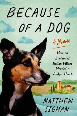 Matthew Sigman - Because of a Dog, Häftad