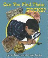 Carmen Bredeson, Lindsey Cousins - Can You Find These Rocks?, Häftad