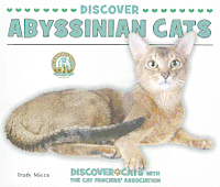 Trudy Micco - Discover Abyssinian Cats, Häftad