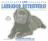 Linda Bozzo - I Like Labrador Retrievers!, Häftad