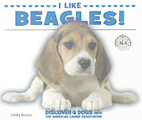 Linda Bozzo - I Like Beagles!, Häftad