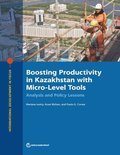 Boosting Productivity in Kazakhstan with Micro-Level Tools