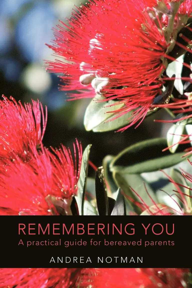 Andrea Notman - Remembering You, Häftad. Tillgänglighet: Lägg i varukorg