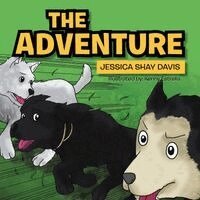 Jessica Shay Davis - Adventure, Häftad. Tillgänglighet: Lägg i varukorg