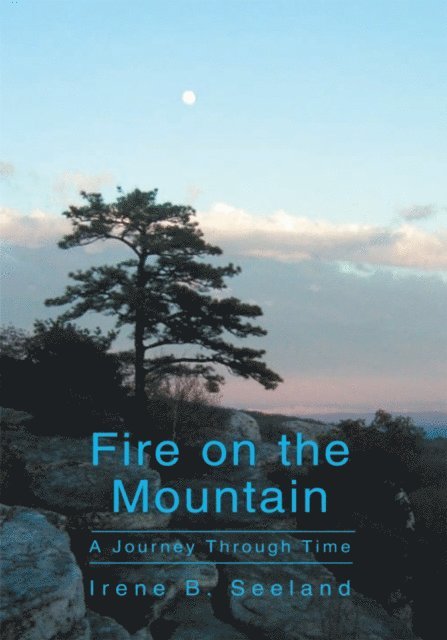 Irene B. Seeland - Fire on the Mountain, E-bok