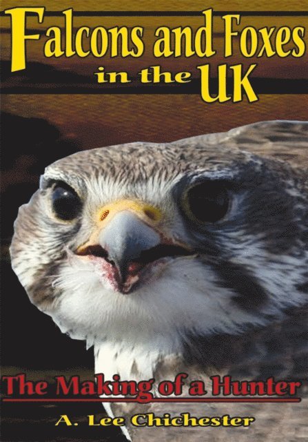 A. Lee Chichester - Falcons and Foxes in the U.K., E-bok