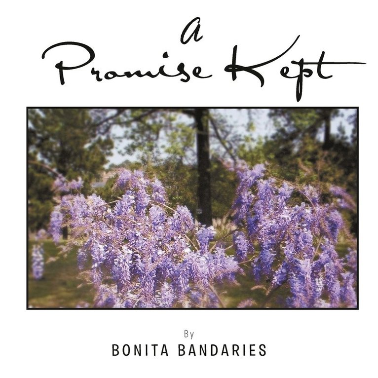 Bonita Bandaries - Promise Kept, Häftad. Tillgänglighet: Lägg i varukorg
