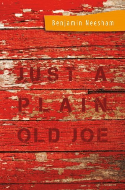 Benjamin Neesham - Just a Plain Old Joe, E-bok