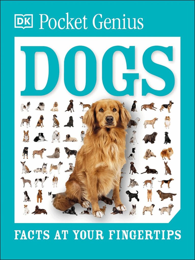 DK - Pocket Genius Dogs, Häftad. Tillgänglighet: Lägg i varukorg
