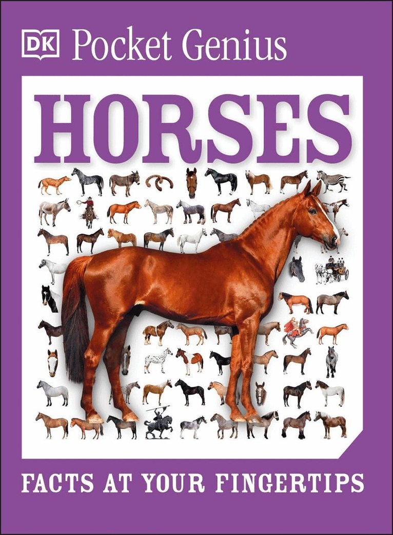 DK - Pocket Genius Horses, Häftad. Tillgänglighet: Lägg i varukorg