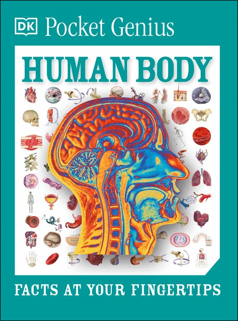 DK - Pocket Genius Human Body, Häftad. Tillgänglighet: Lägg i varukorg