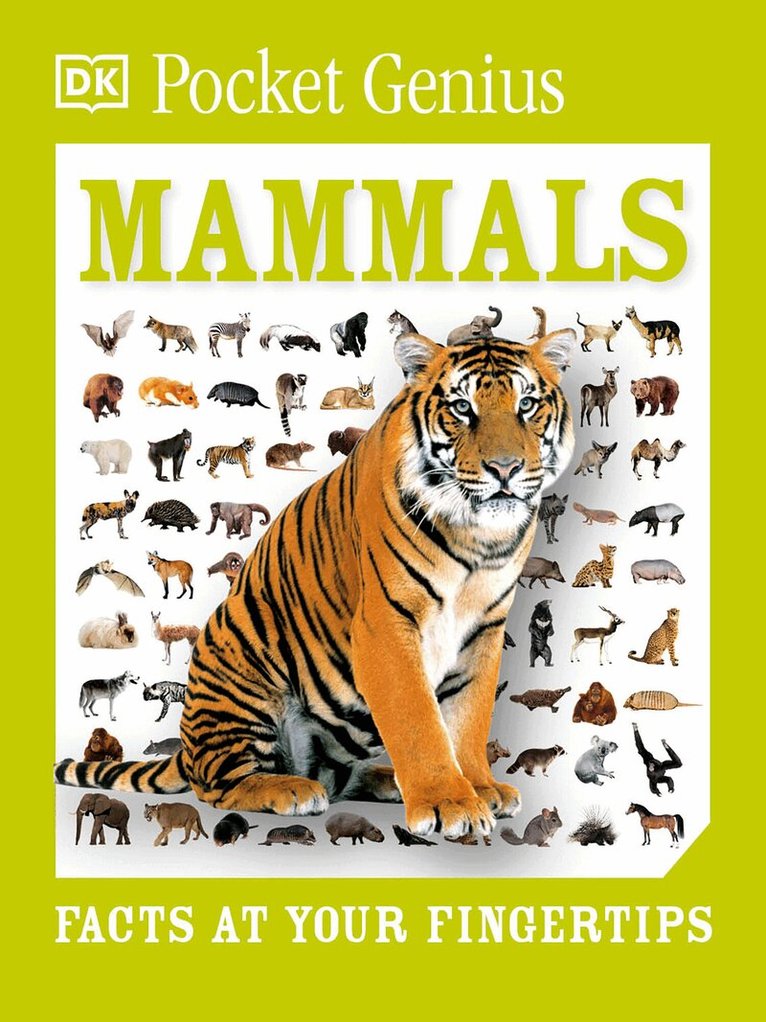 DK - Pocket Genius Mammals, Häftad. Tillgänglighet: Lägg i varukorg