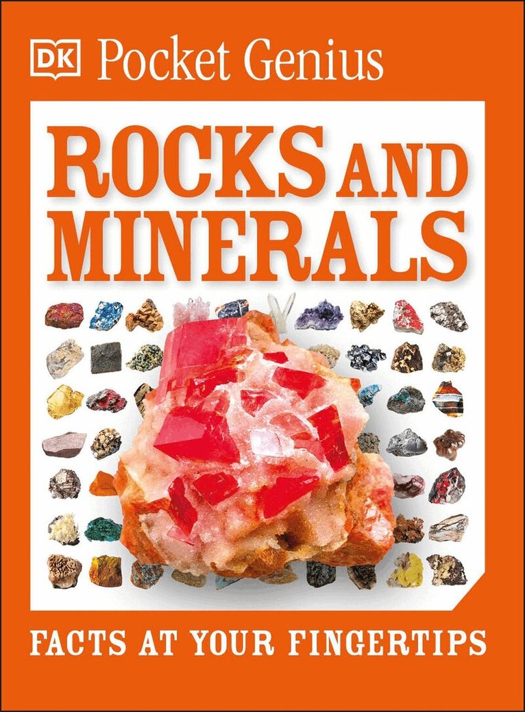 DK - Pocket Genius Rocks and Minerals, Häftad. Tillgänglighet: Lägg i varukorg