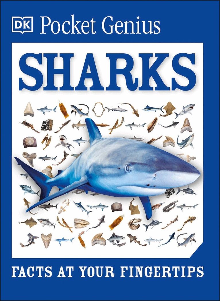 DK - Pocket Genius Sharks, Häftad. Tillgänglighet: Lägg i varukorg