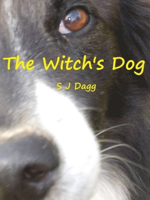 Stephanie Dagg - Witch's Dog, E-bok