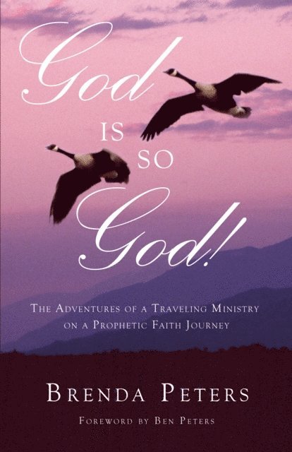 Ben R Peters - God is So God!: The Adventures of a Traveling Ministry on a Prophetic Faith Journey, E-bok