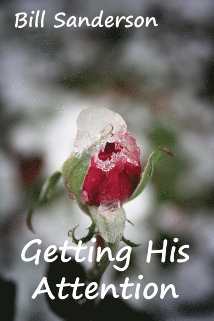 Bill Sanderson - Getting His Attention, E-bok