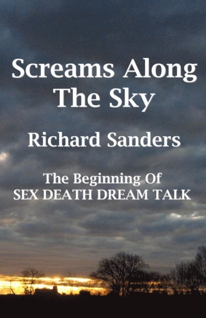 Richard Sanders - Screams Along The Sky, E-bok