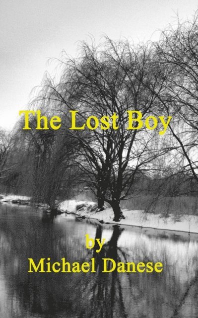 Michael Danese - Lost Boy, E-bok