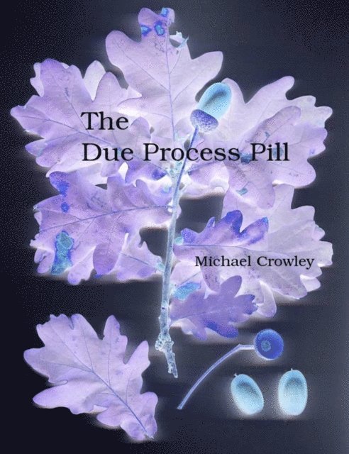 Michael Crowley - Due Process Pill, E-bok