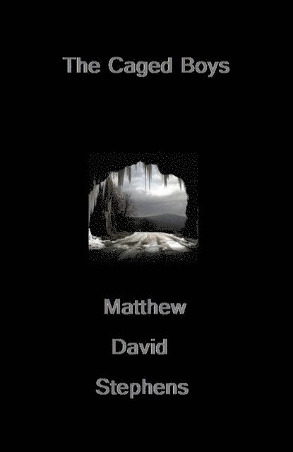 Matthew Stephens - Caged Boys, E-bok