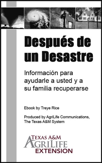 Despues de un Desastre