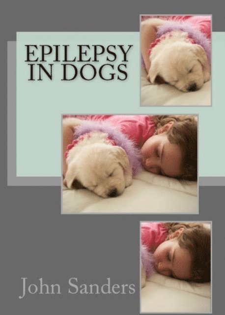John Sanders - Epilepsy in Dogs, E-bok