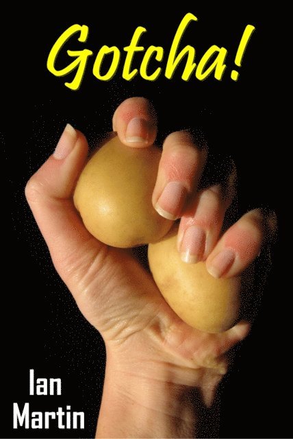 Ian Martin - Gotcha!, E-bok