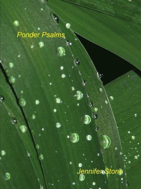 Jennifer Stone - Ponder Psalms, E-bok