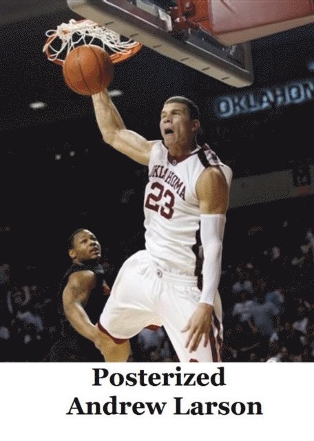 Andrew Larson - Posterized, E-bok