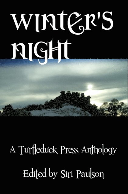 Siri Paulson - Winter's Night, E-bok