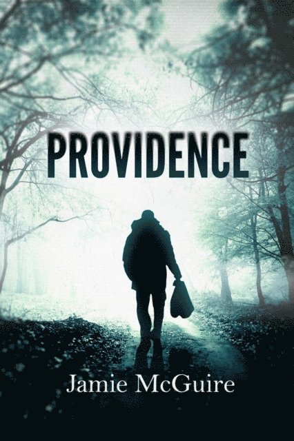 Jamie McGuire - Providence, E-bok