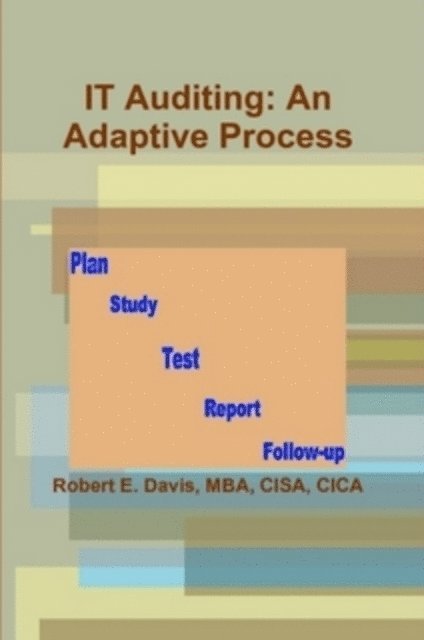 Robert E. Davis - IT Auditing: An Adaptive Process, E-bok