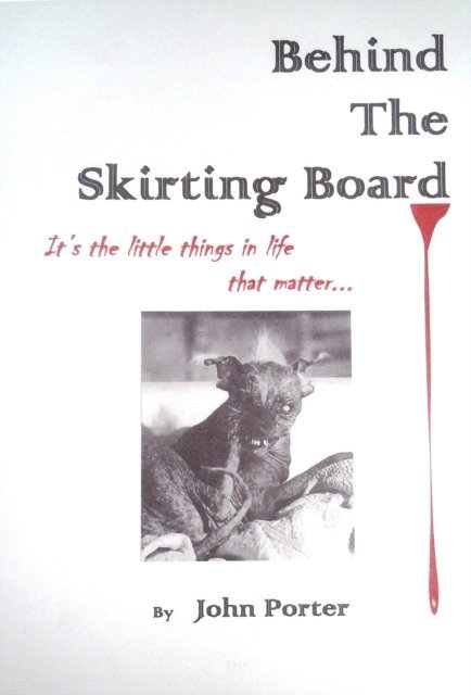 John Porter - Behind The Skirting Board, E-bok