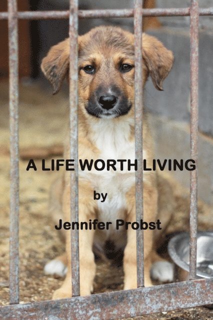 Jennifer Probst - Life Worth Living, E-bok