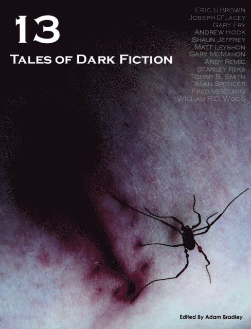 Adam Bradley - 13: Tales of Dark Fiction, E-bok
