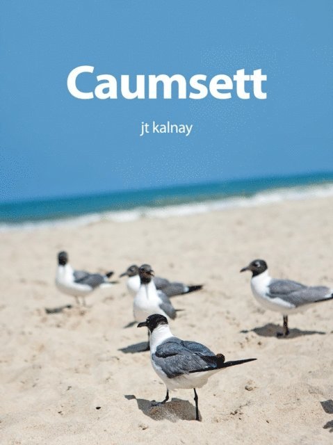 Jt Kalnay - Caumsett, E-bok