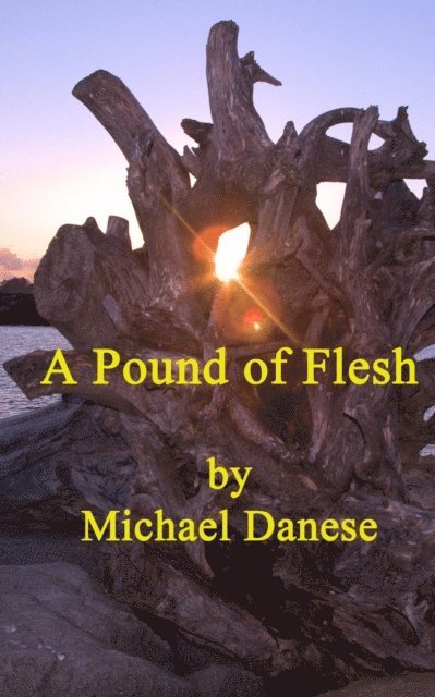 Michael Danese - Pound of Flesh, E-bok