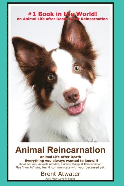 Brent Atwater - Animal Reincarnation & Animal Life after Death - Answers for your Heart's Questions!, E-bok. Tillgänglighet: Lägg i varukorg