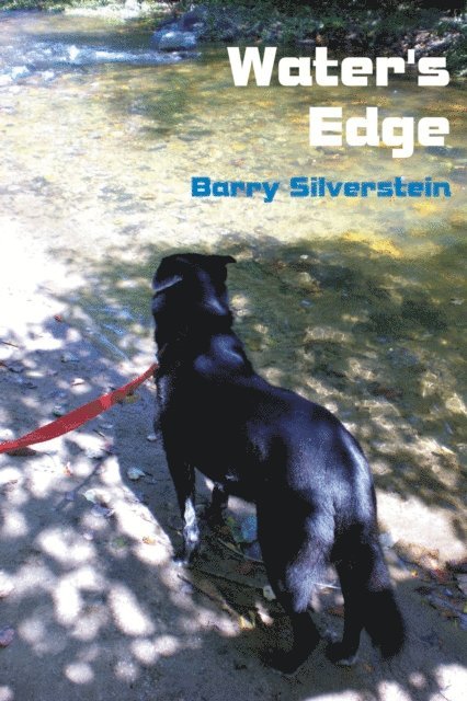 Barry Silverstein - Water's Edge, E-bok