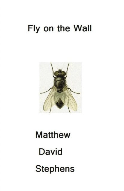 Matthew Stephens - Fly on the Wall, E-bok