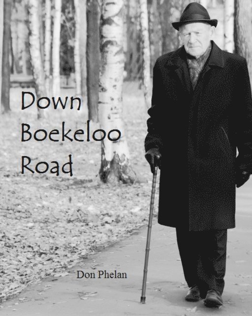 Don Phelan - Down Boekeloo Road, E-bok